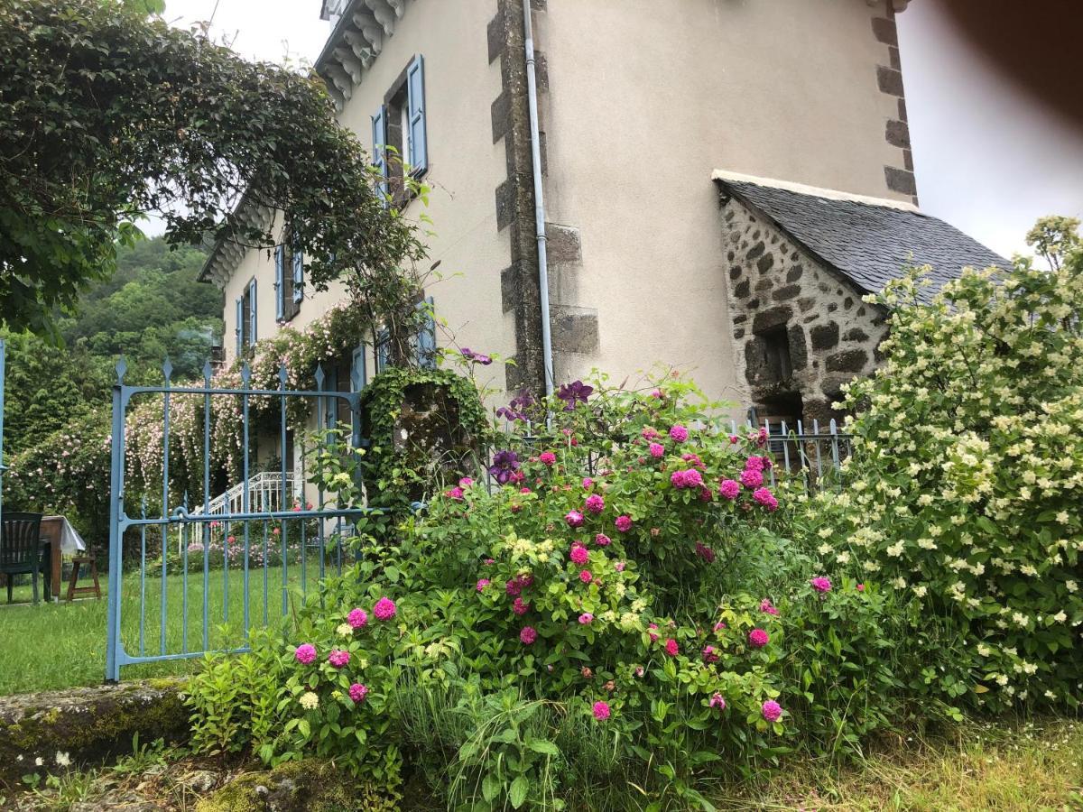Bed and Breakfast Le Figarelou Thiézac Exterior foto