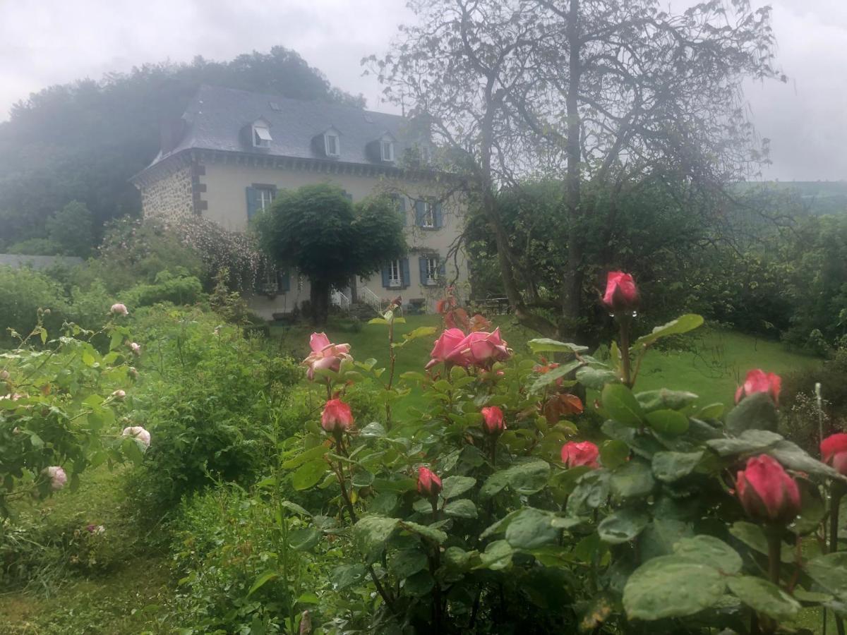 Bed and Breakfast Le Figarelou Thiézac Exterior foto