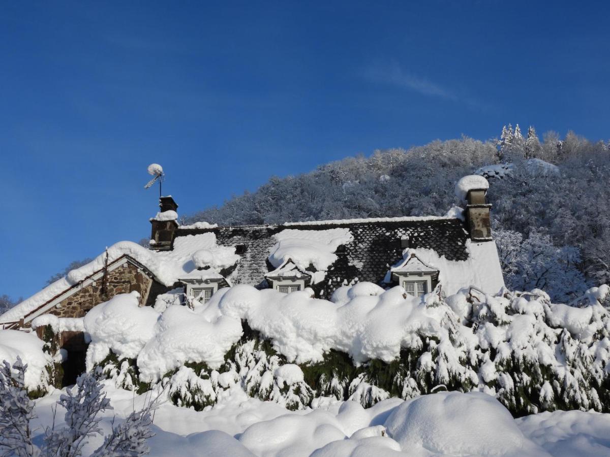 Bed and Breakfast Le Figarelou Thiézac Exterior foto